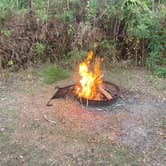 Review photo of Long Pine Key Campground — Everglades National Park by paul W., April 8, 2023