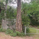 Review photo of Mitchell Landing Campground — Big Cypress National Preserve by paul W., April 8, 2023