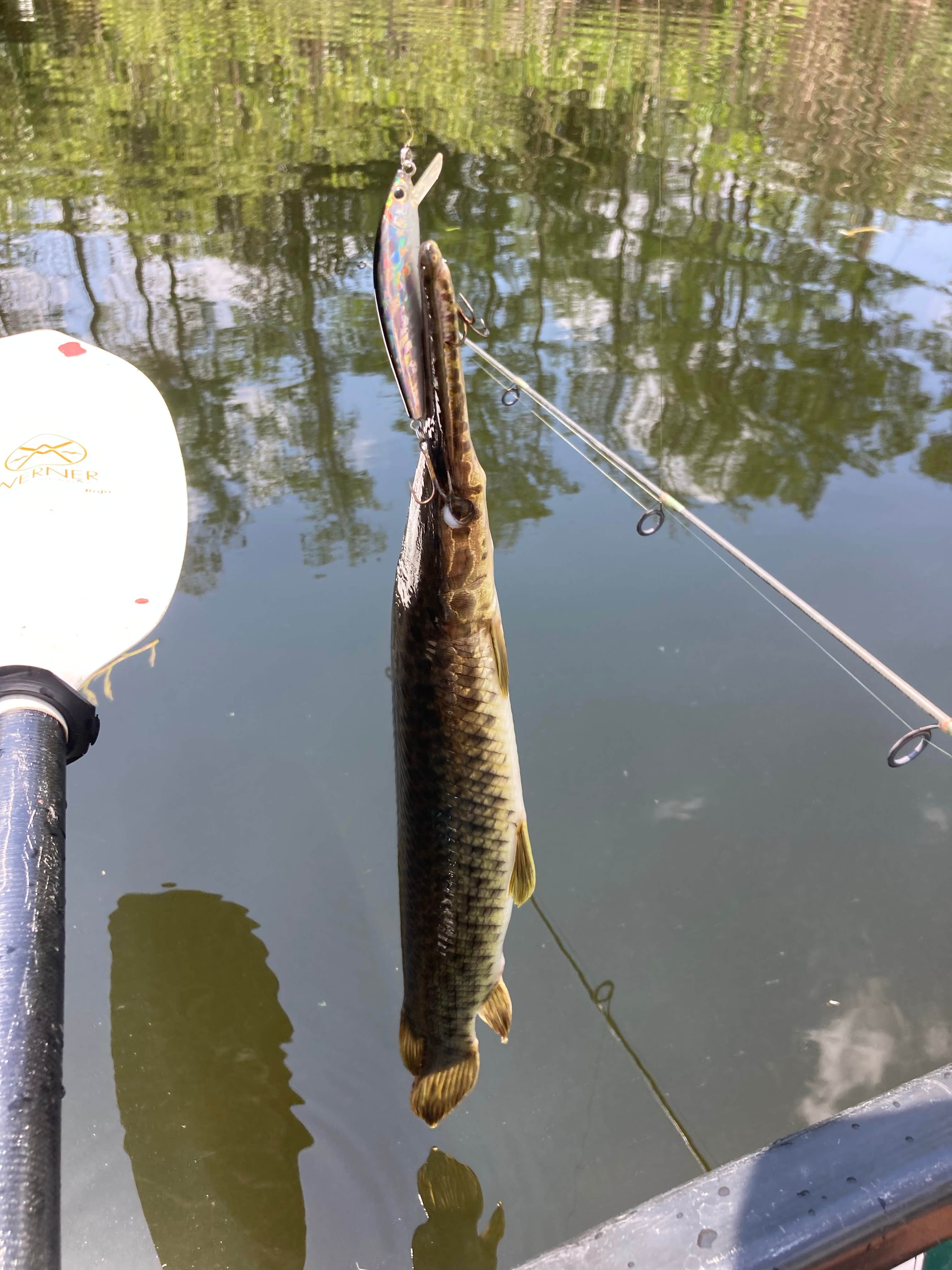 Camper-submitted photo at Mitchell Landing Campground — Big Cypress National Preserve near Big Cypress National Preserve