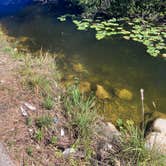 Review photo of Monument Lake Campground — Big Cypress National Preserve by paul W., April 8, 2023