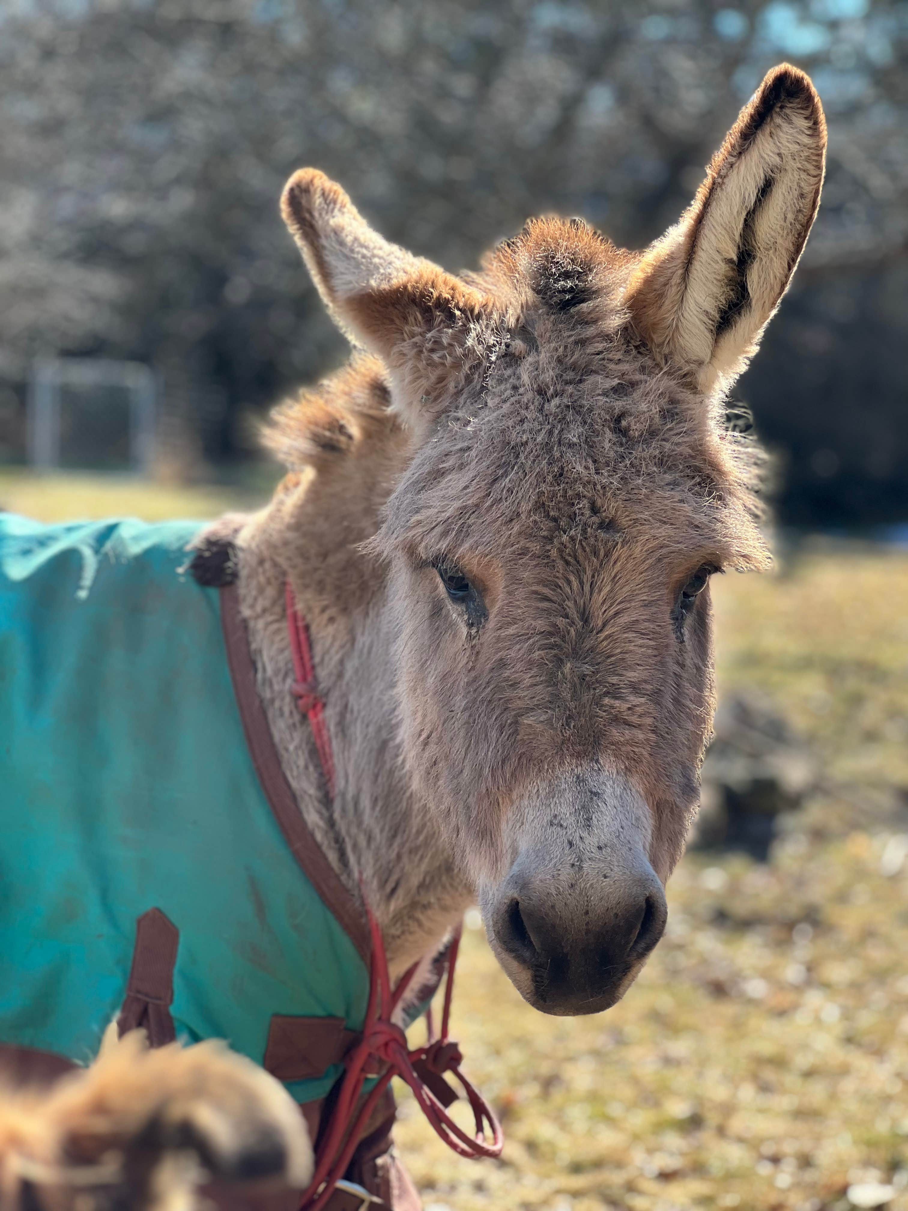 Camper-submitted photo at Artisan Hill Farm & Studio near Gilboa, NY
