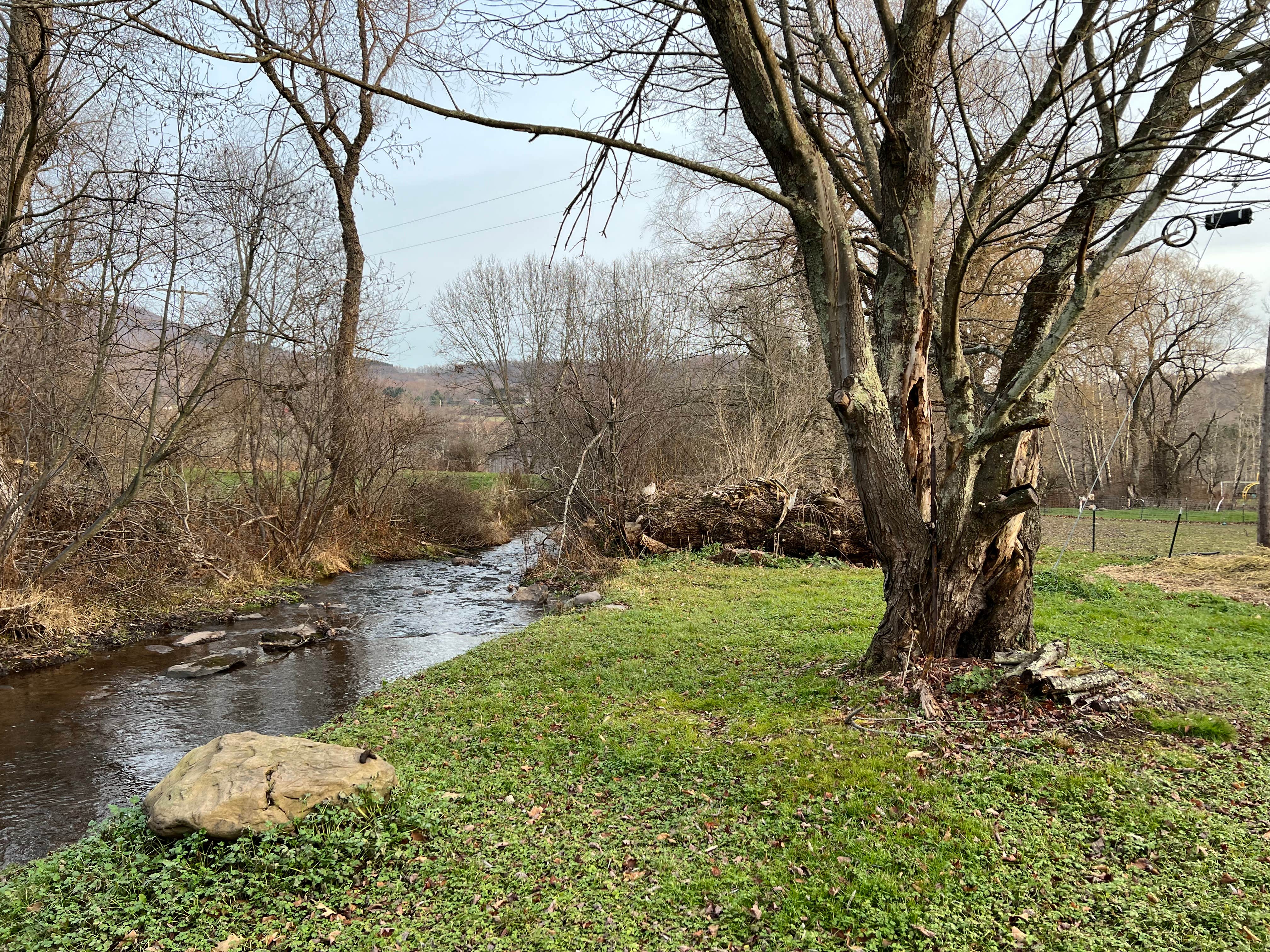 Camper-submitted photo at Artisan Hill Farm & Studio near Gilboa, NY