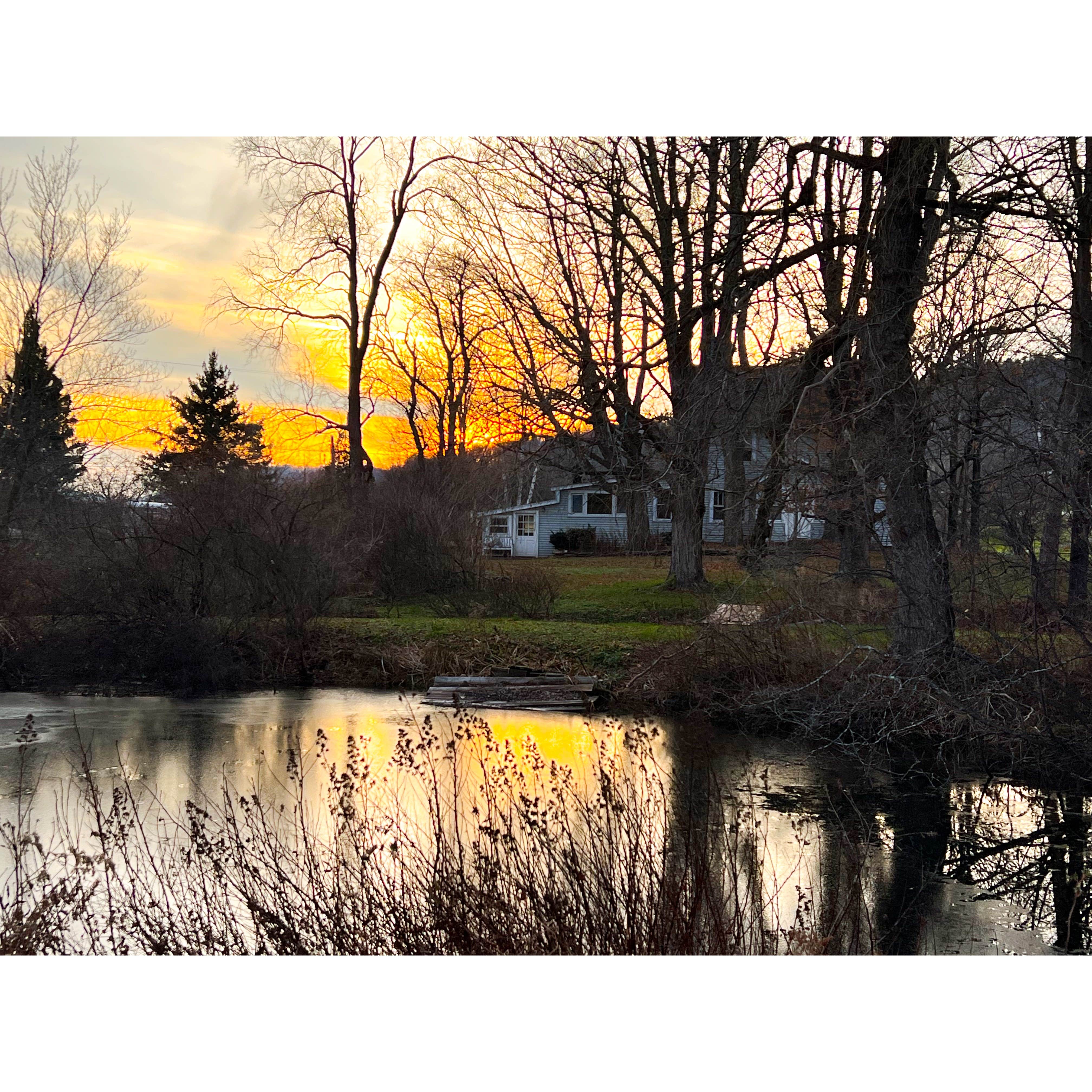 Camper-submitted photo at Artisan Hill Farm & Studio near Gilboa, NY