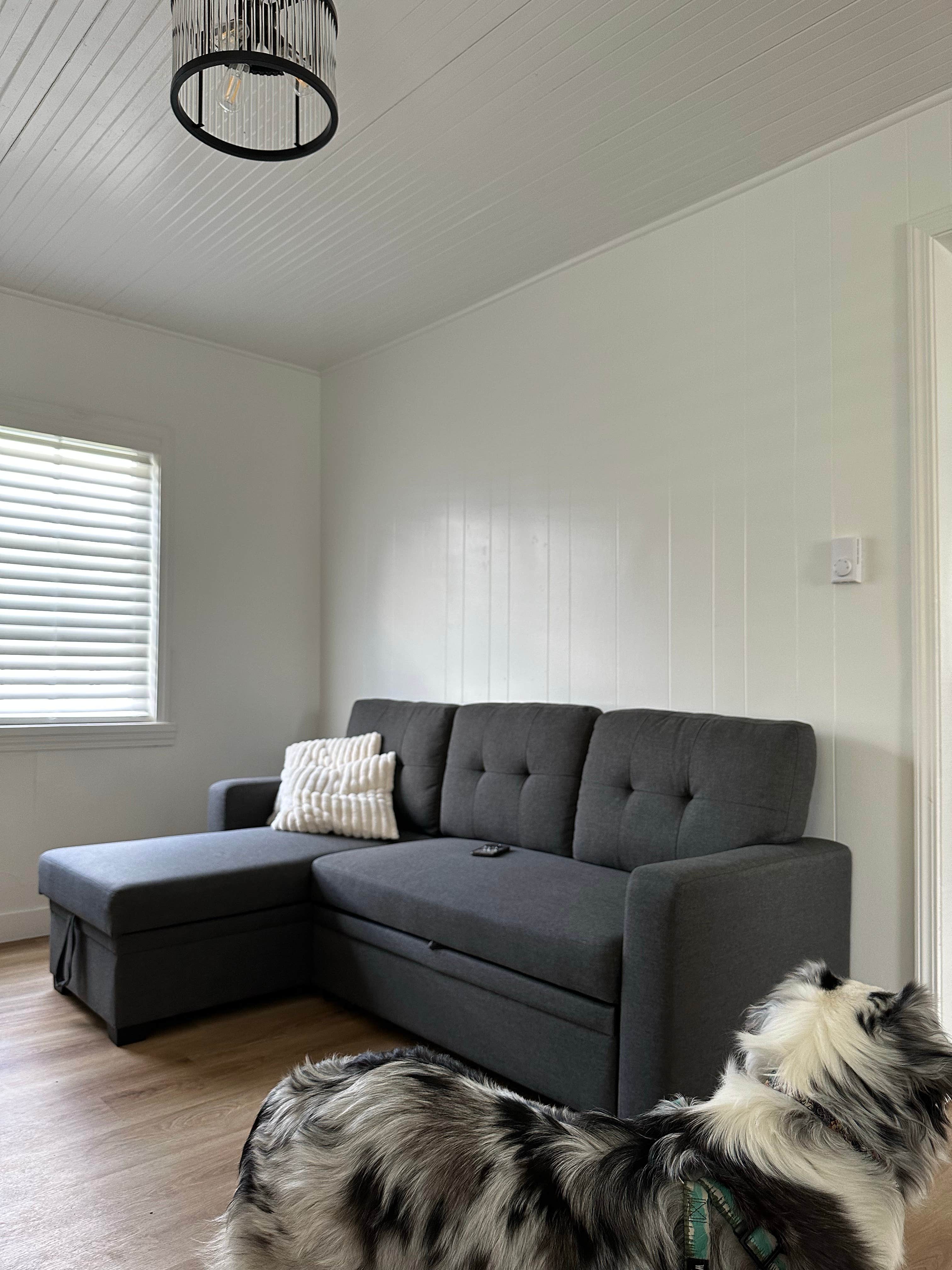 Gary S.'s photo of camping with pets at Dwell Seaview near Hammond, OR