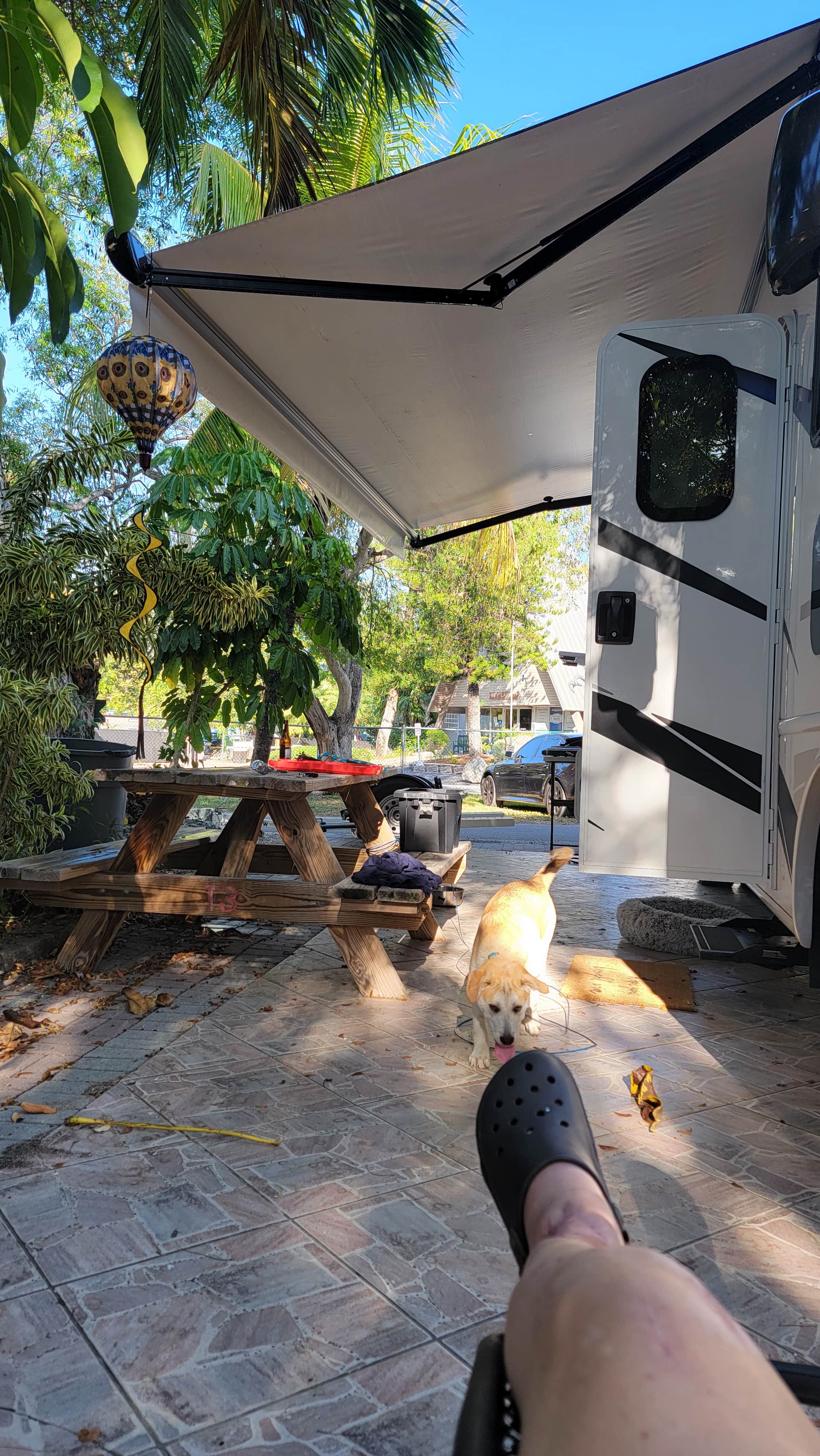 Felicia R.'s photo of rv camping at Key Largo Kampground & Marina near Key Largo, FL