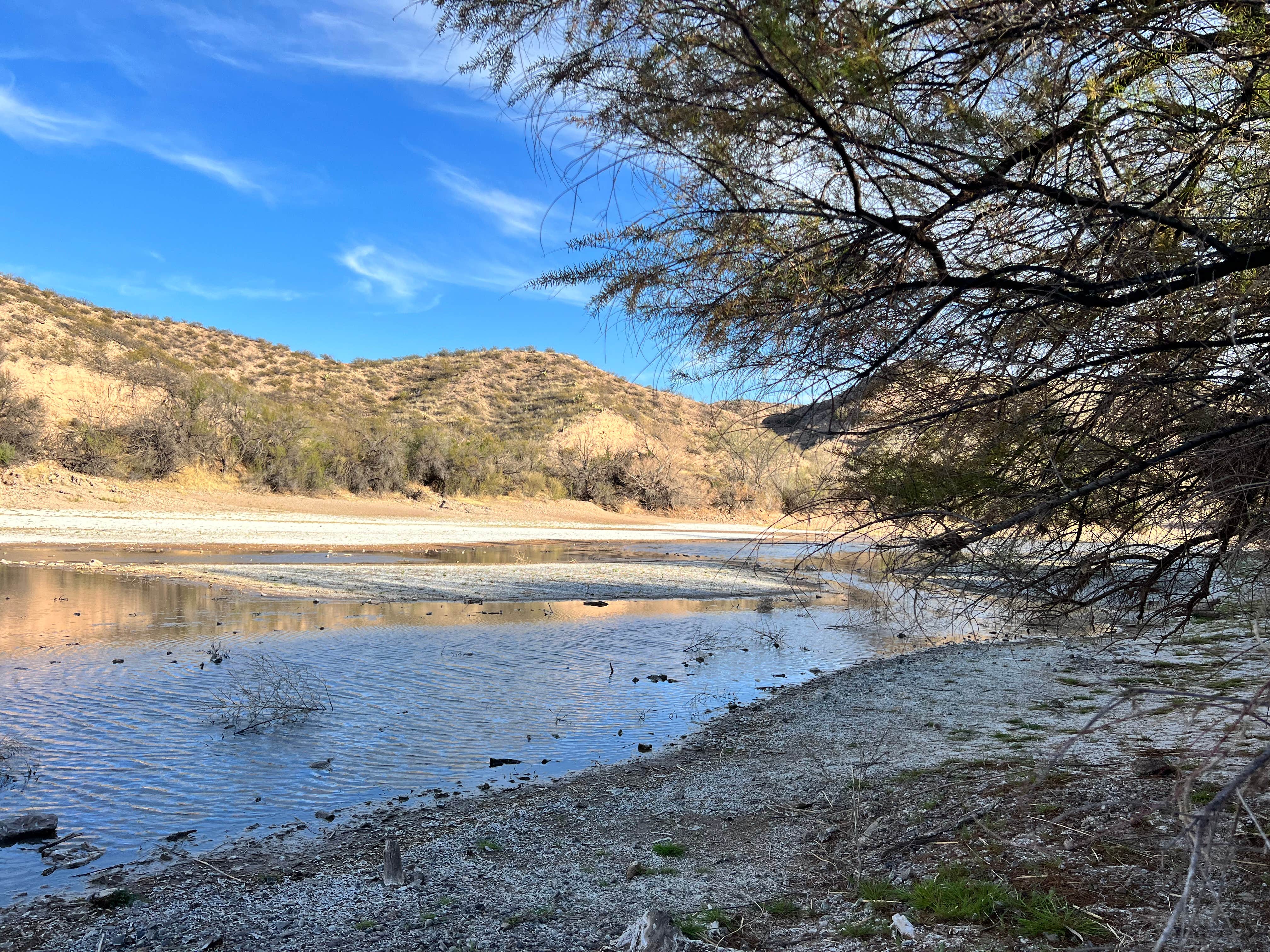 Camper-submitted photo at Riverside Campground — Caballo Lake State Park near Caballo, NM