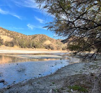 Camper-submitted photo from Riverside Campground — Caballo Lake State Park