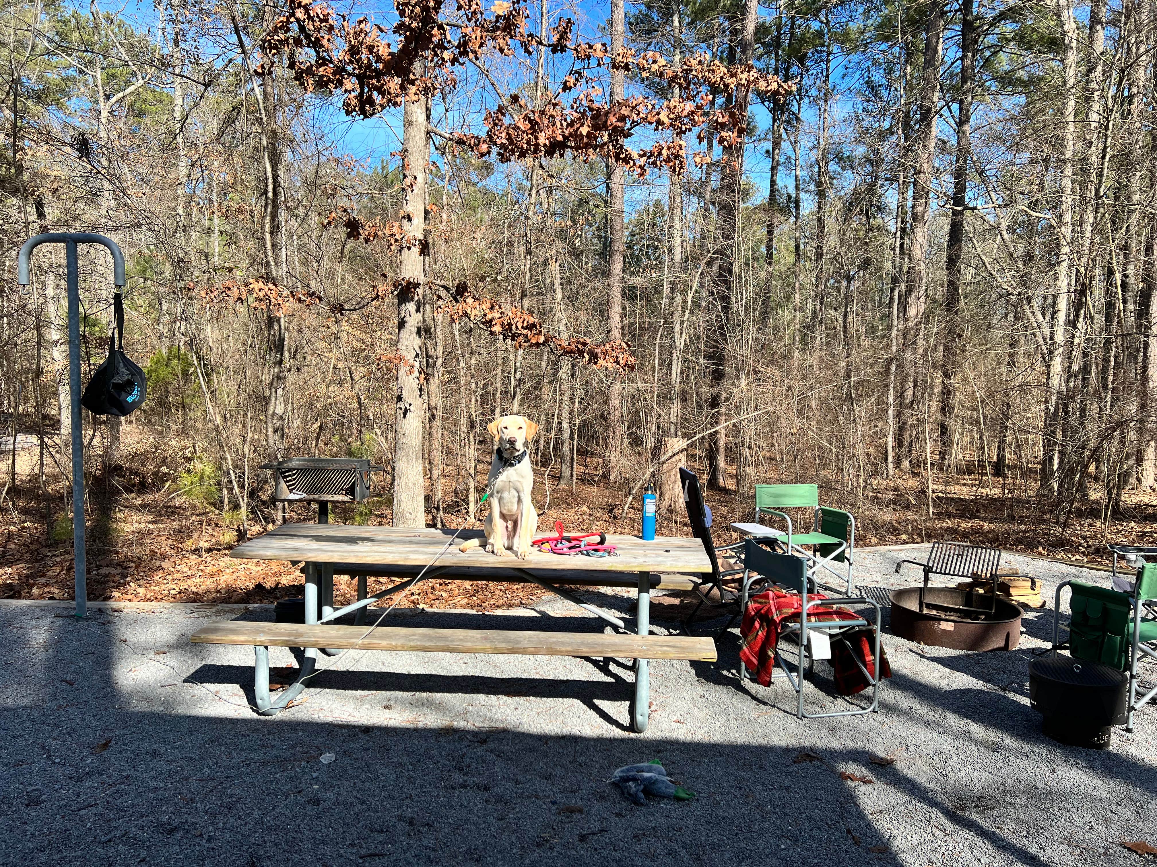 Maggie  C.'s photo of camping with pets at James H 'Sloppy' Floyd State Park Campground near Fort Payne, AL