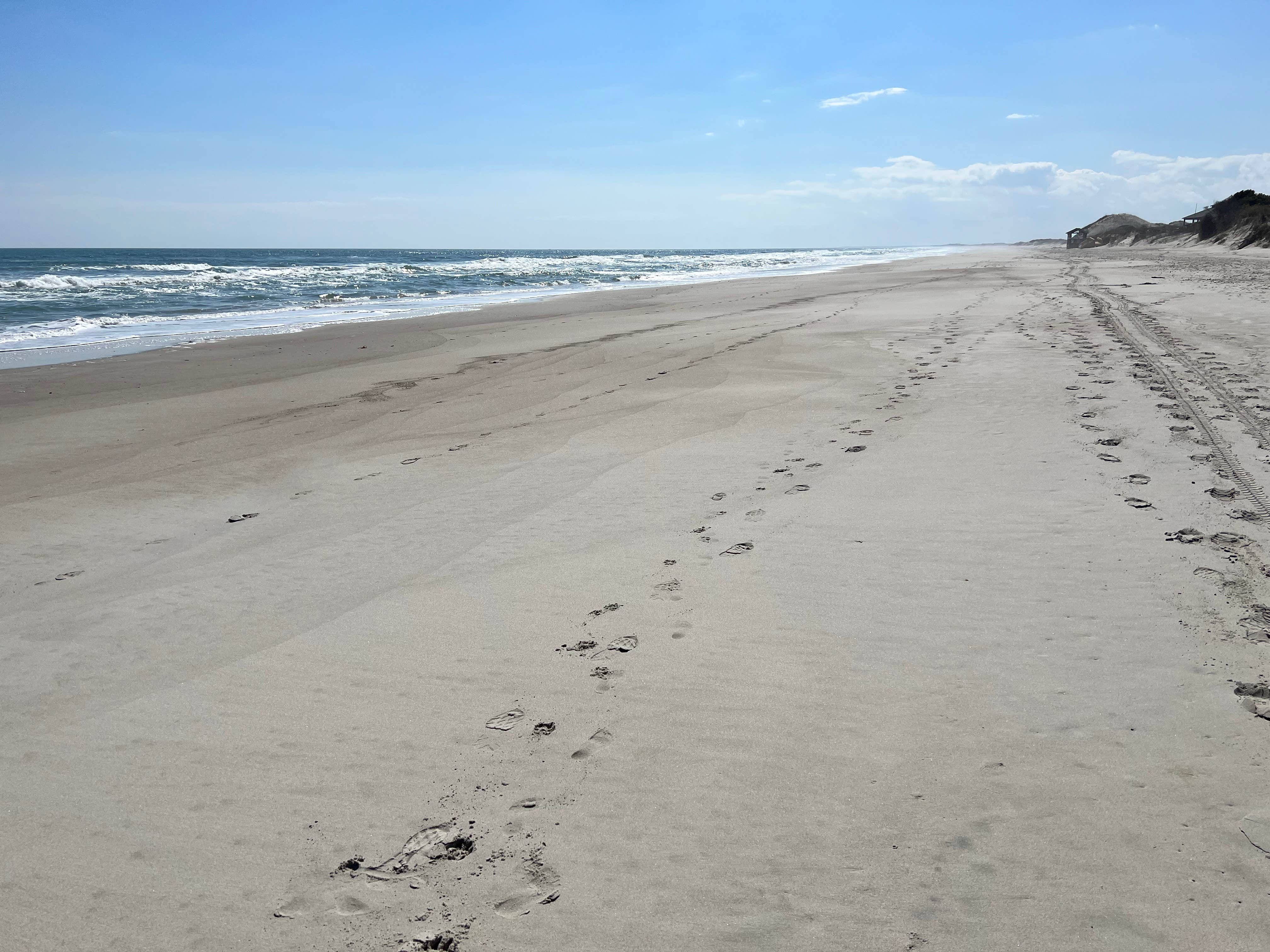Camper-submitted photo at Hammocks Beach Bear Island Campsites — Hammocks Beach State Park near Emerald Isle, NC
