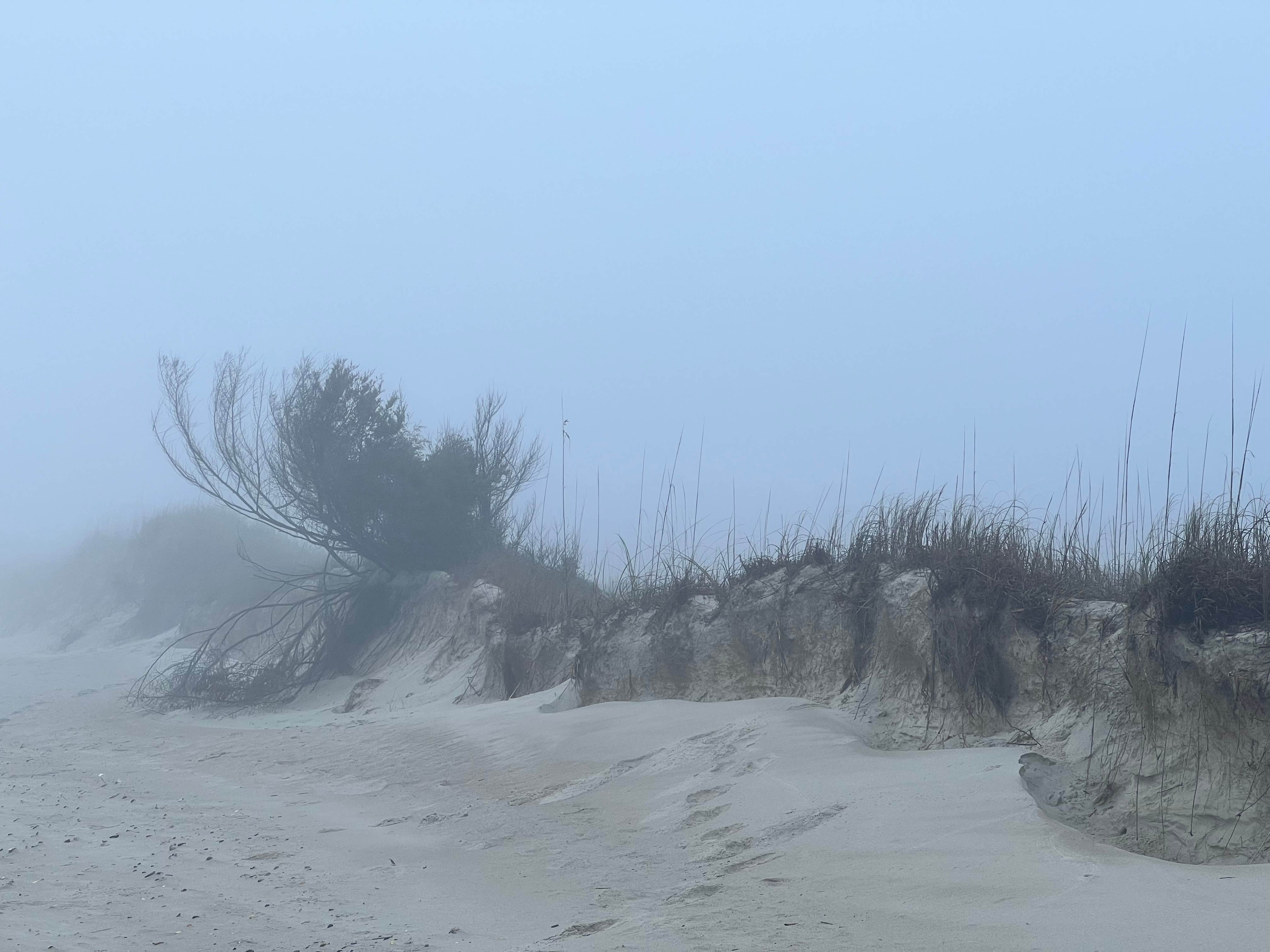 Camper-submitted photo at Hammocks Beach Bear Island Campsites — Hammocks Beach State Park near Wrightsville Beach, NC