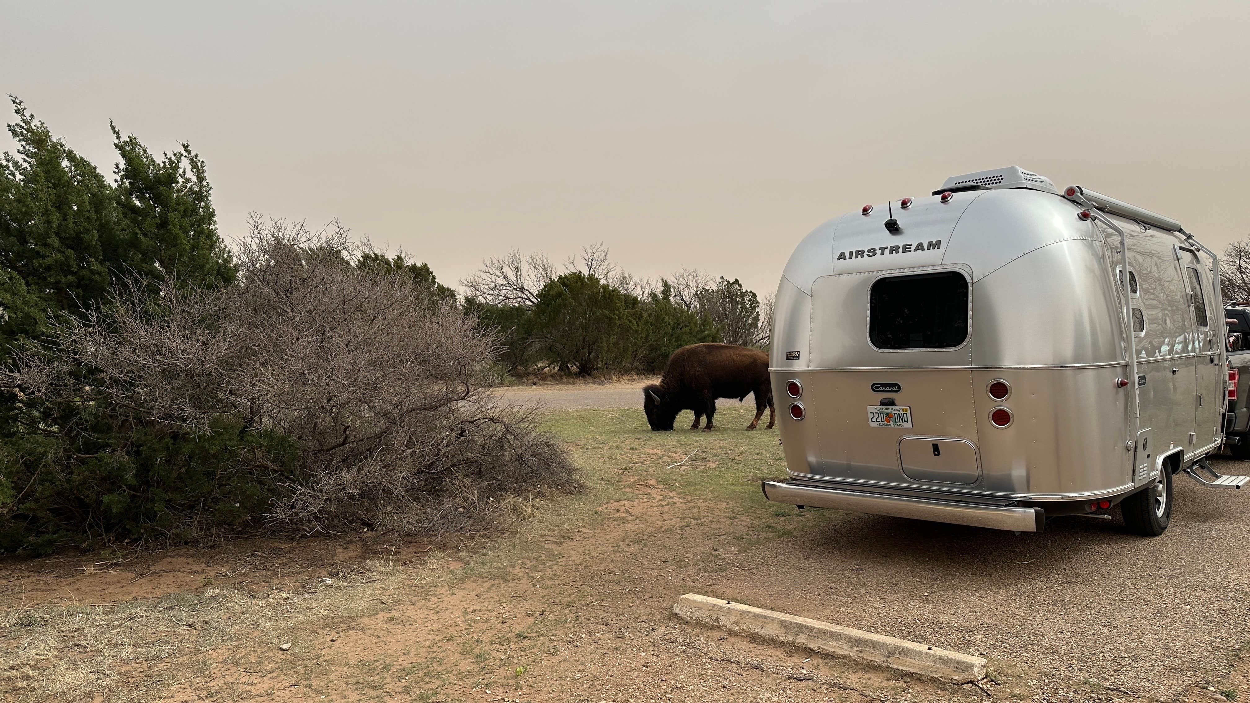 Christian D.'s photo of rv camping at North Prong Primitive Campsite Camping Area — Caprock Canyons State Park near Estelline, TX
