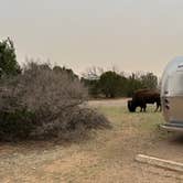 Review photo of North Prong Primitive Campsite Camping Area — Caprock Canyons State Park by Christian D., April 8, 2023