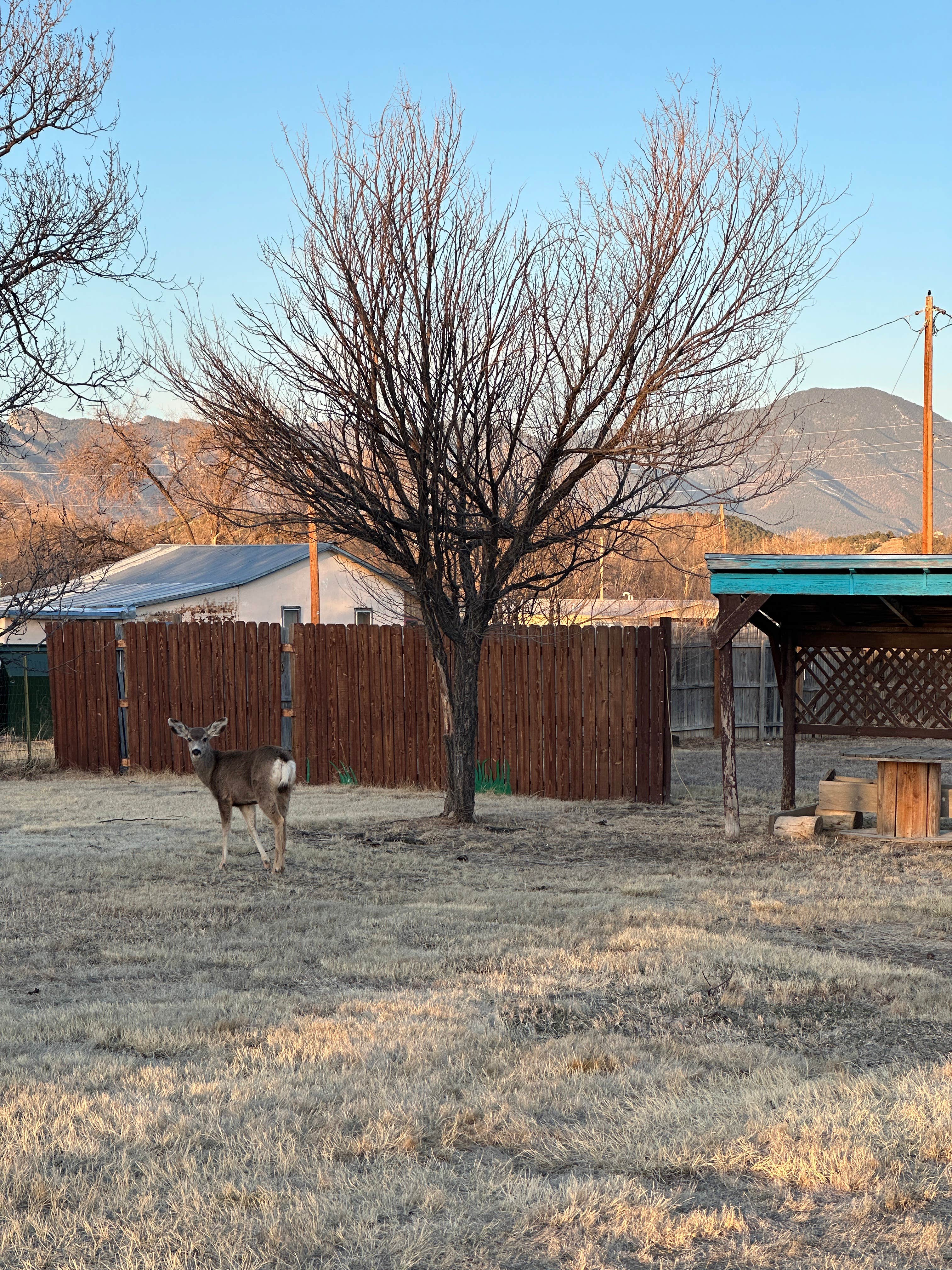 Camper submitted image from Cimarron Inn and RV Park - 4