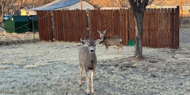 Camper submitted image from Cimarron Inn and RV Park