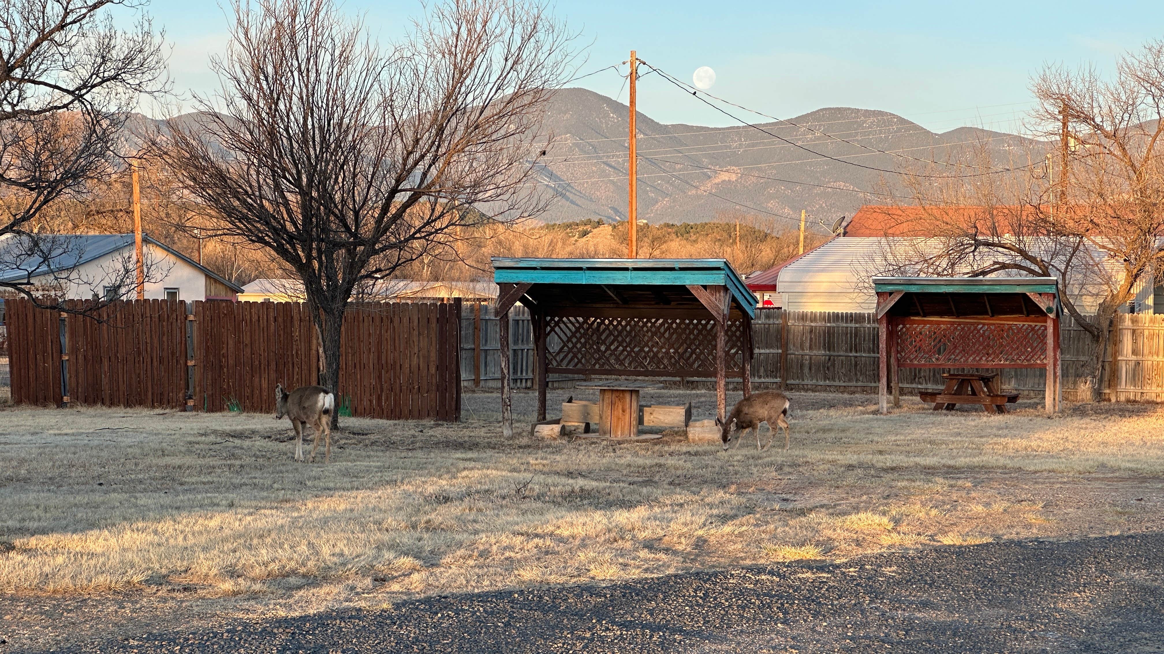 Camper-submitted photo at Cimarron Inn and RV Park near Cimarron, NM