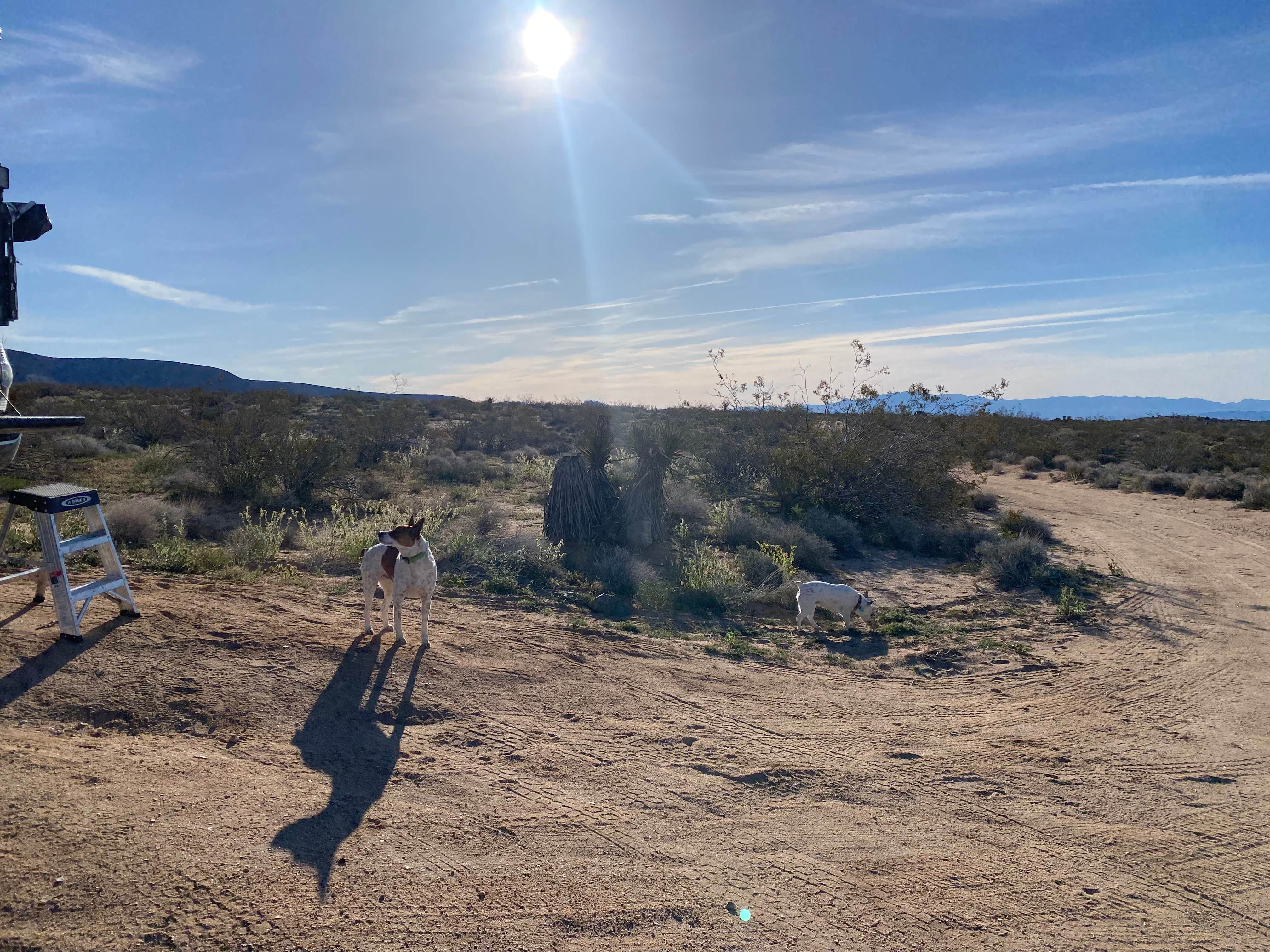 Zak's photo of a dispersed camping area at Kelbaker Boulders Dispersed — Mojave National Preserve near Amboy, CA