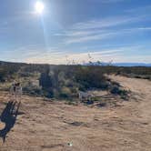 Review photo of Kelbaker Boulders Dispersed — Mojave National Preserve by Zak , April 8, 2023