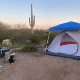 Review photo of Cactus Forest Dispersed Site by Monte W., April 8, 2023