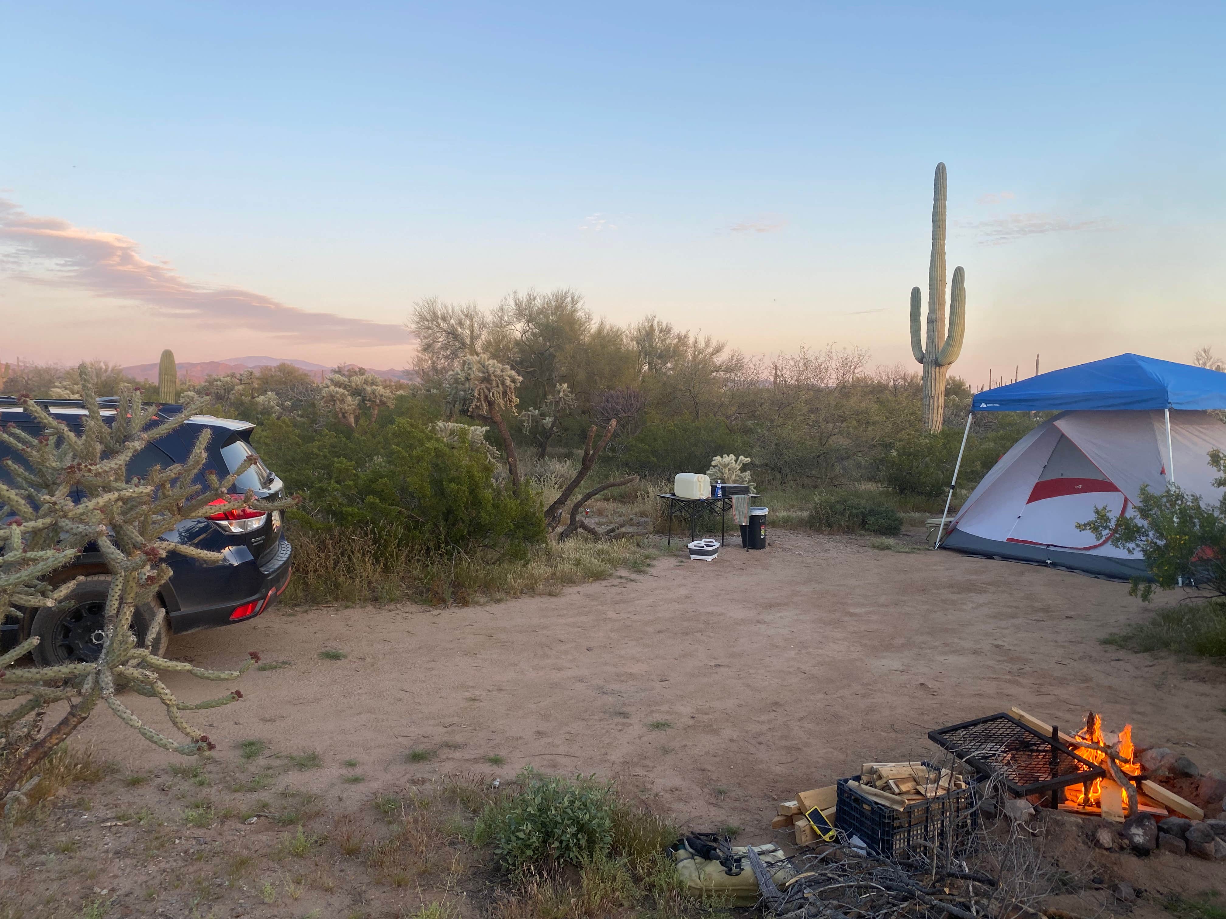 Camper-submitted photo at Cactus Forest Dispersed Site near Picacho, AZ