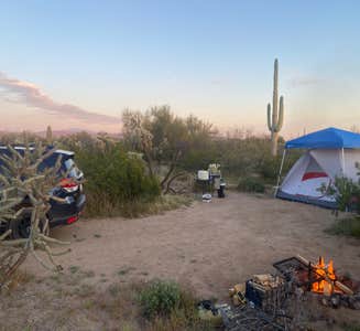 Camper-submitted photo from Cactus Forest Dispersed Site