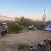 Review photo of Cactus Forest Dispersed Site by Monte W., April 8, 2023