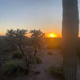 Review photo of Cactus Forest Dispersed Site by Monte W., April 8, 2023