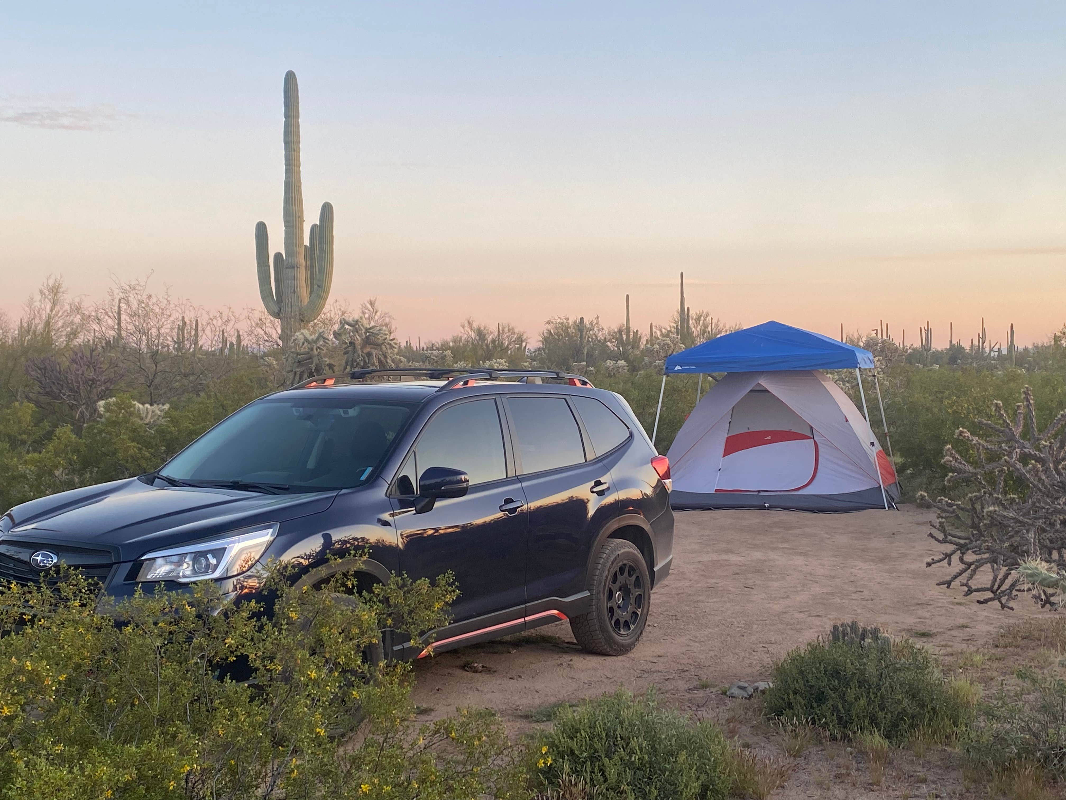 Camper-submitted photo at Cactus Forest Dispersed Site near Eloy, AZ