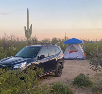 Camper-submitted photo from Cactus Forest Dispersed Site
