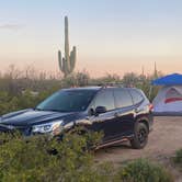 Review photo of Cactus Forest Dispersed Site by Monte W., April 8, 2023