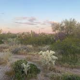 Review photo of Cactus Forest Dispersed Site by Monte W., April 8, 2023
