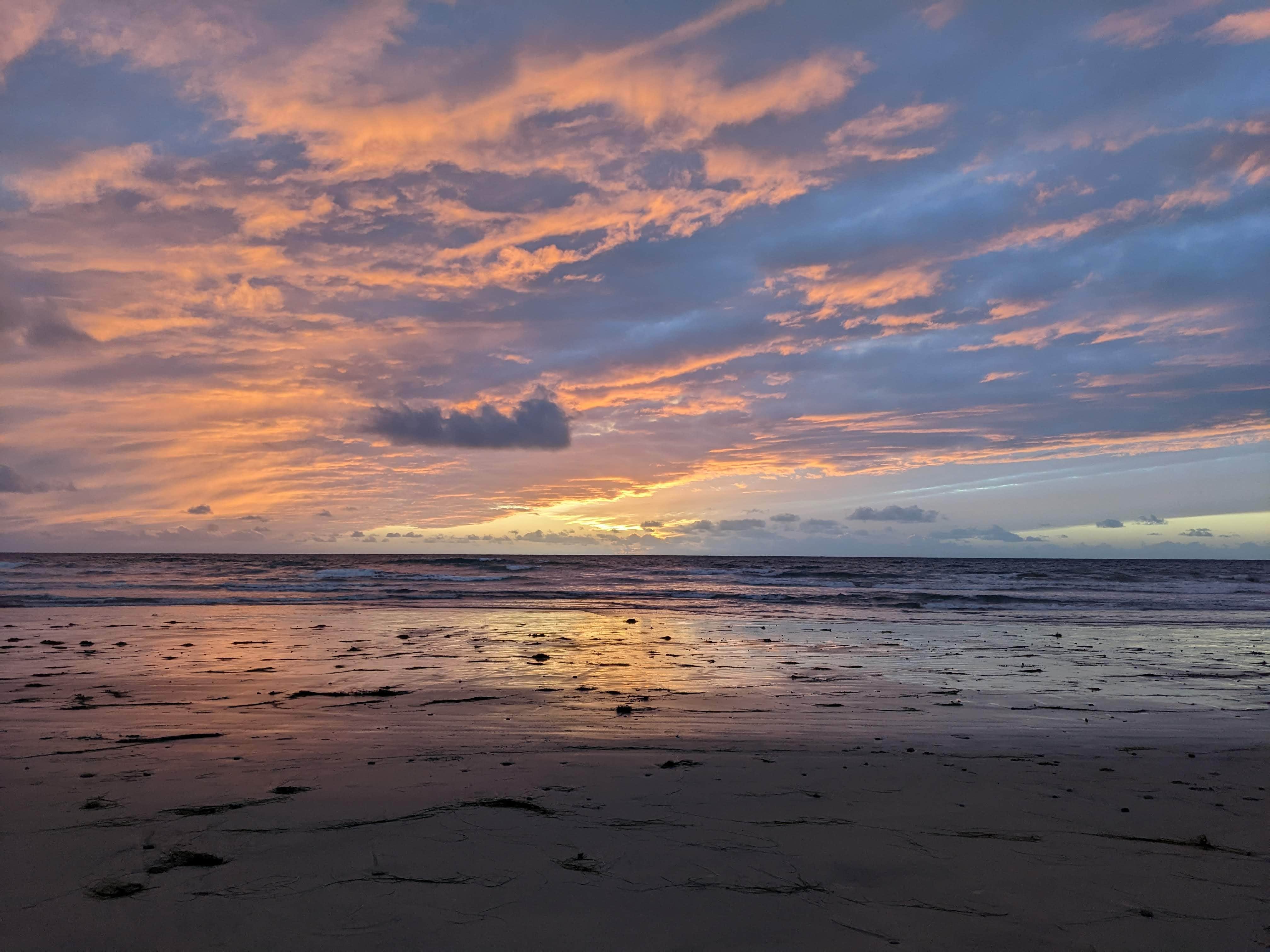 Camper submitted image from San Elijo State Beach Campground - 1