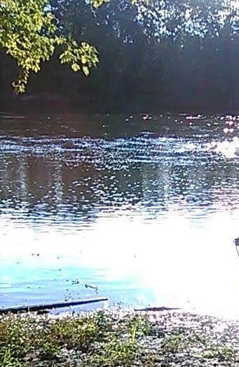 Hononegah Forest Preserve The Dyrt