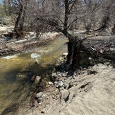 Review photo of Hurkey Creek Park by Bill Y., April 8, 2023