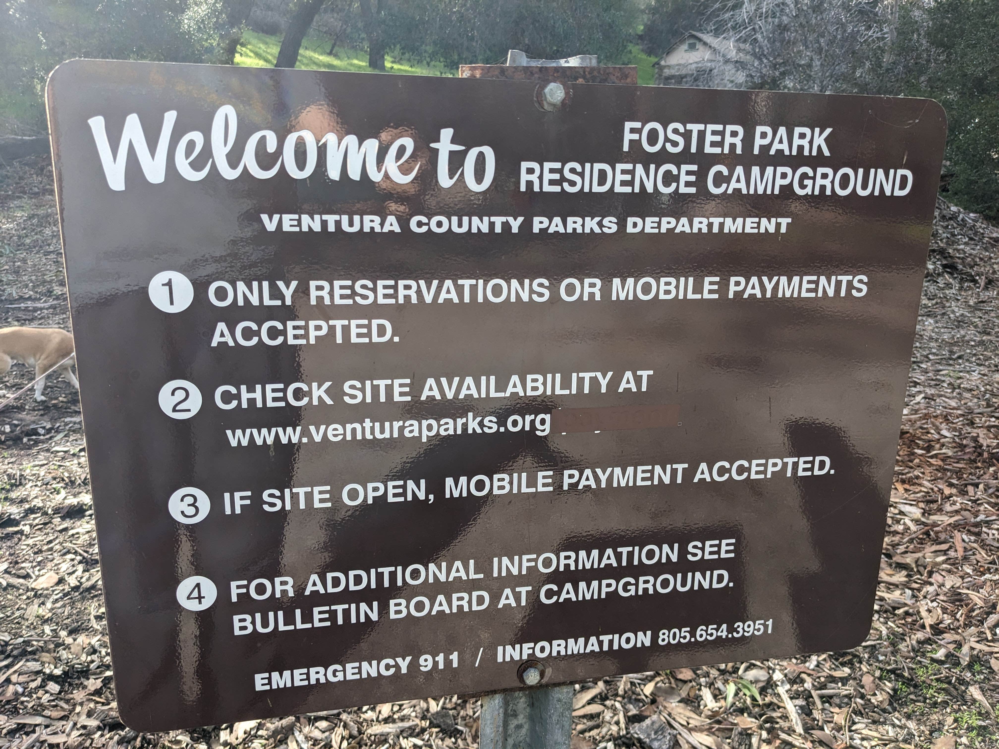 Laura M.'s photo of camping with pets at Foster Residence Campground near Lake Sherwood, CA