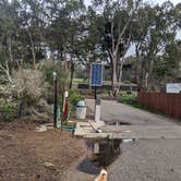 Review photo of Morro Bay State Park Campground by Laura M., April 9, 2023