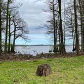 Review photo of South Campground — Reelfoot Lake State Park by Maggie , April 9, 2023