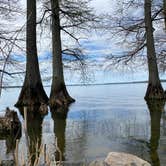 Review photo of South Campground — Reelfoot Lake State Park by Maggie , April 9, 2023