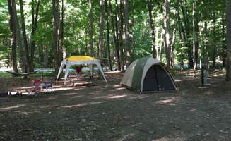 Rachel P.'s photo at Delta Lake State Park Campground near Poland, NY