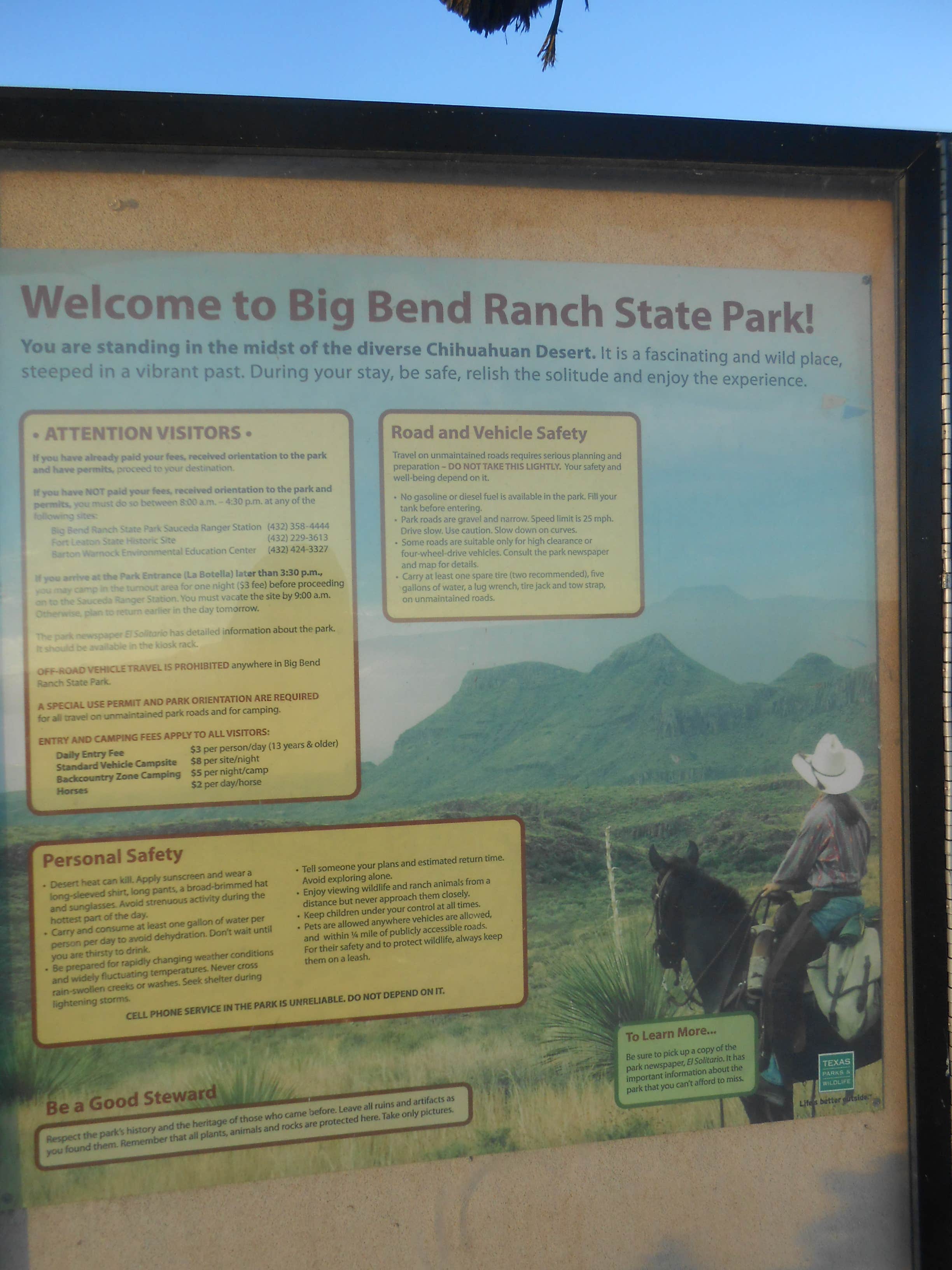 Camper submitted image from Interior Primitive Sites — Big Bend Ranch State Park - 4