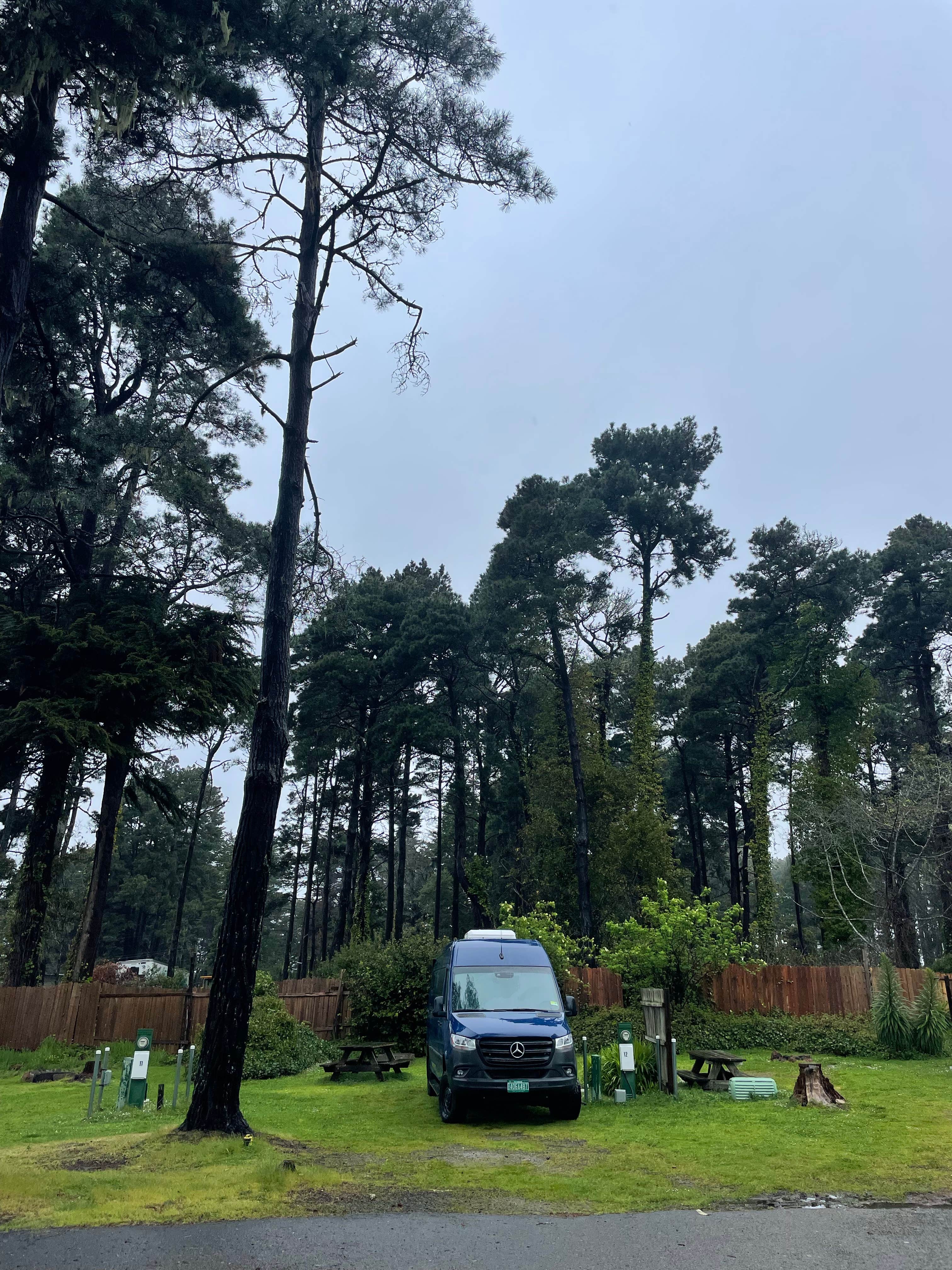 Camper-submitted photo at Hidden Pines RV Park & Campground near Fort Bragg, CA