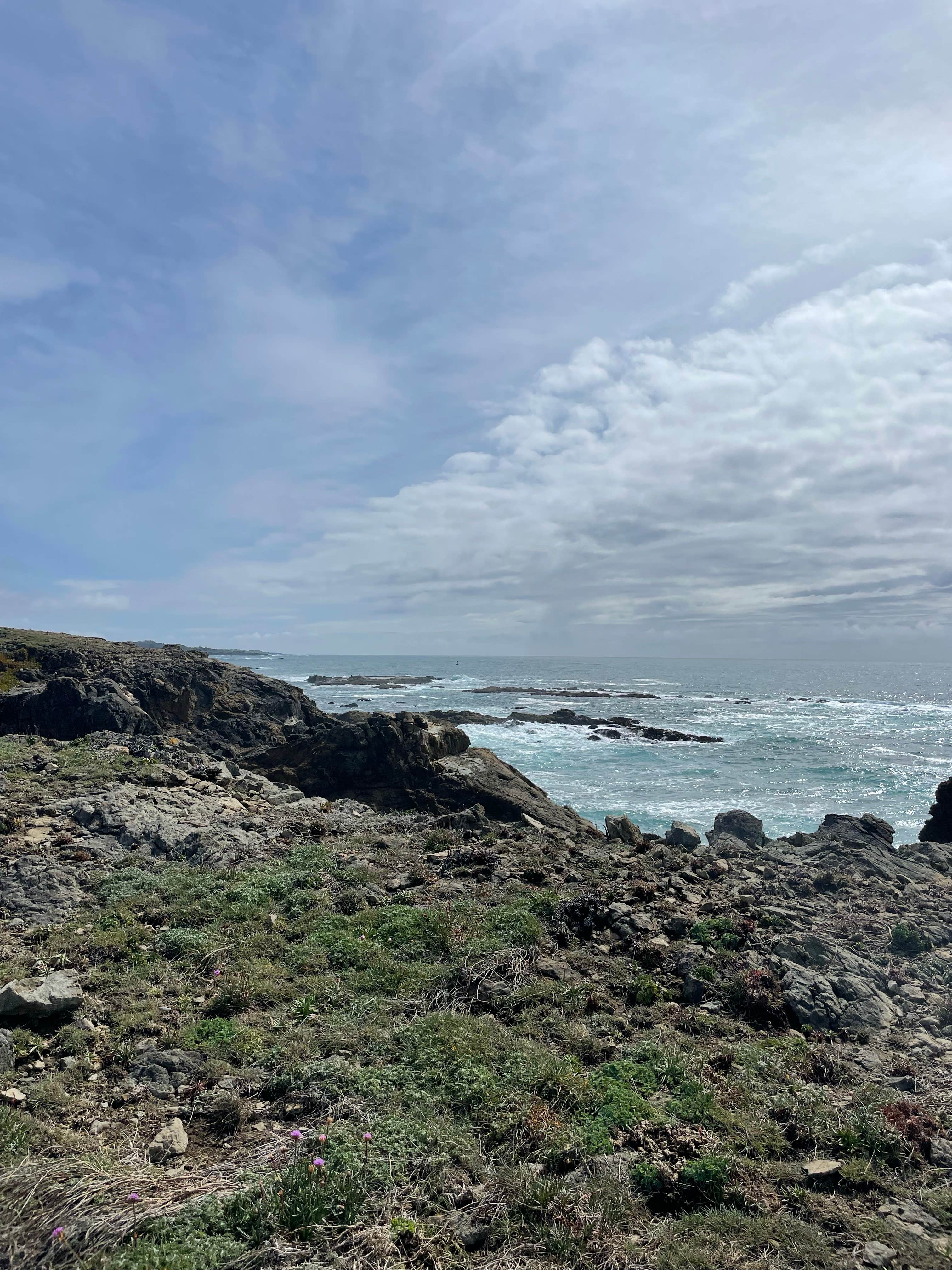 Camper-submitted photo at Hidden Pines RV Park & Campground near Fort Bragg, CA