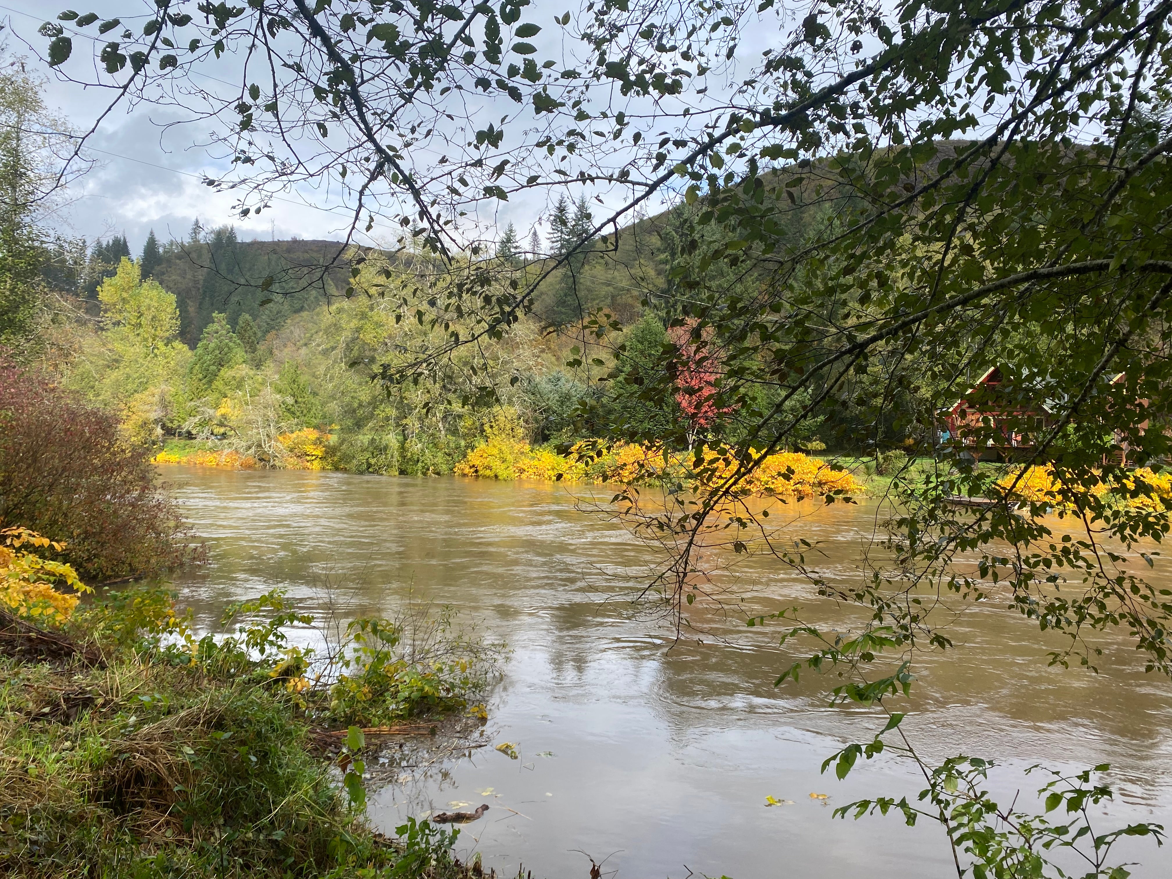 Camper submitted image from Nehalem River Waterfront - 1