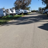 Review photo of Almond Tree Oasis RV Park by Korey Y., April 9, 2023