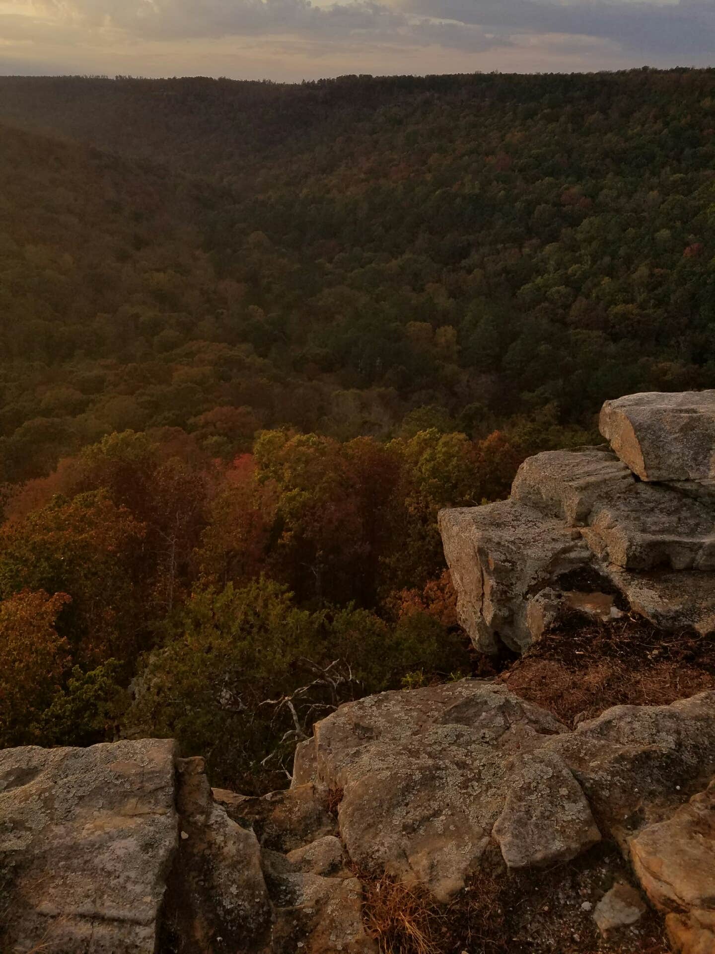 Camper submitted image from Buck's Pocket State Park Campground - 2