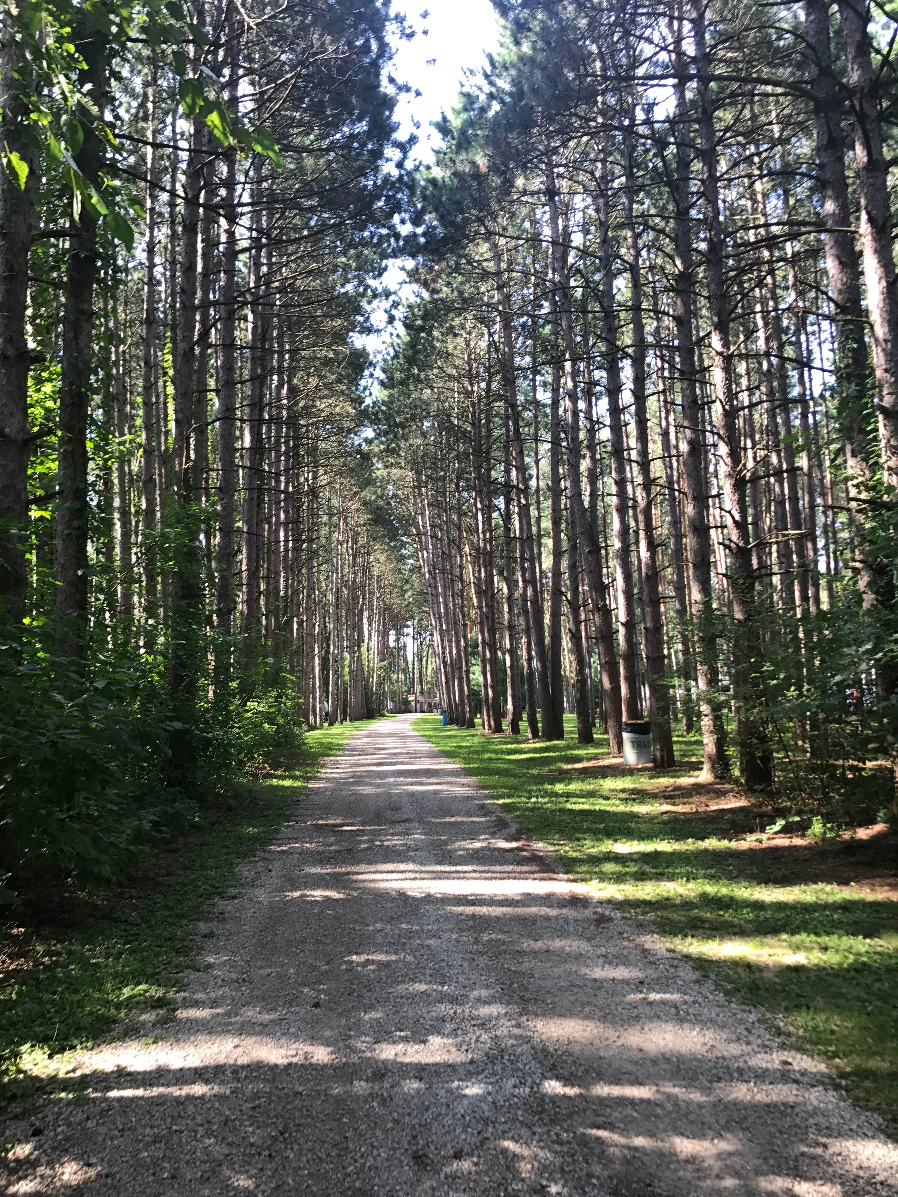 Camper submitted image from Pine View Campground - 3