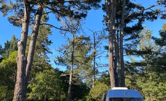 Rowan B.'s photo of camping with pets at Santa Cruz North-Costanoa KOA near Belmont, CA