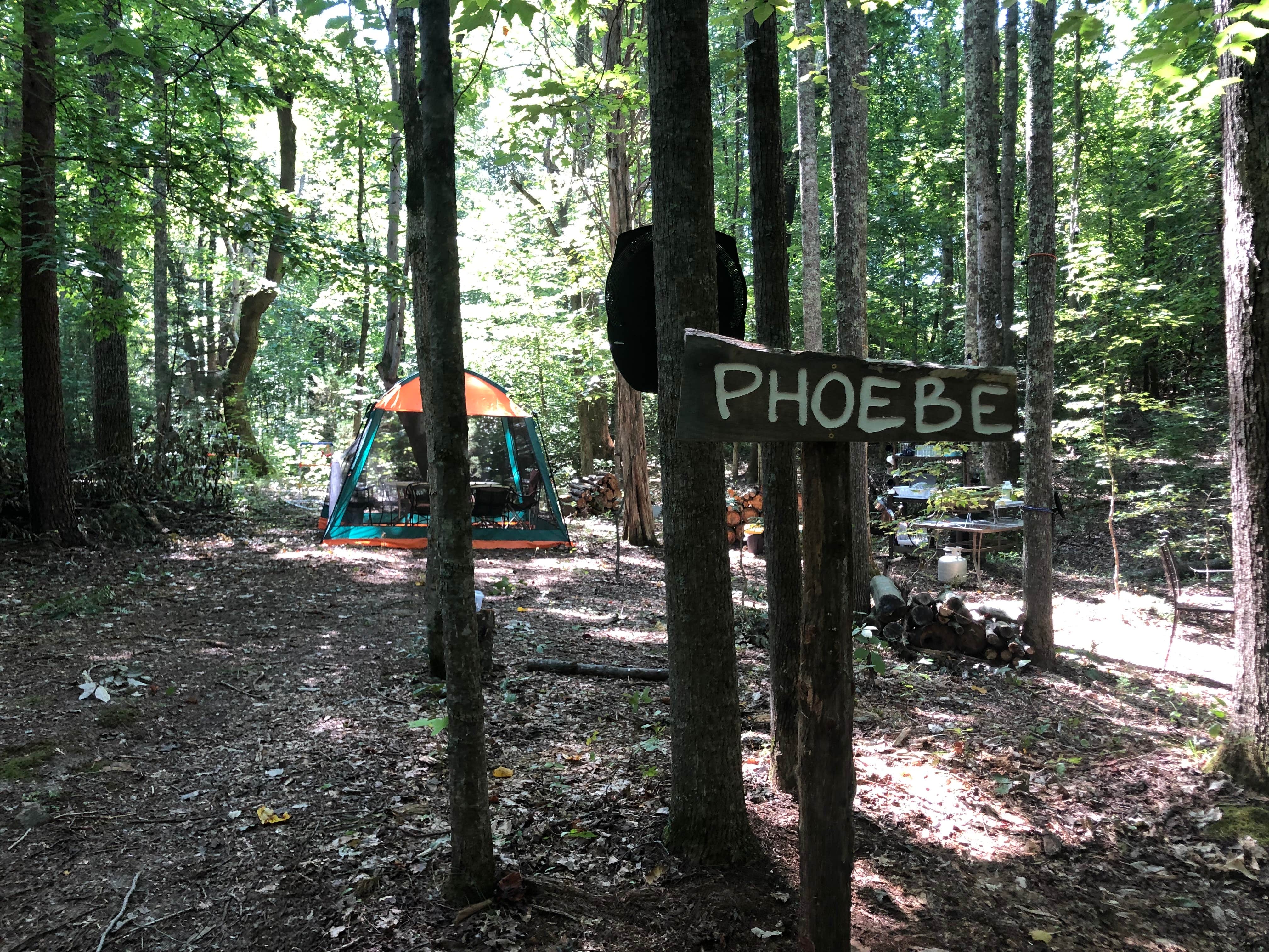 RL's photo of tent camping at Phantom Hill Forest Farm near Culpeper, VA