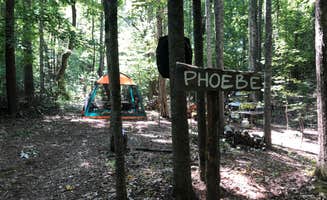 RL's photo at Phantom Hill Forest Farm near Ruckersville, VA
