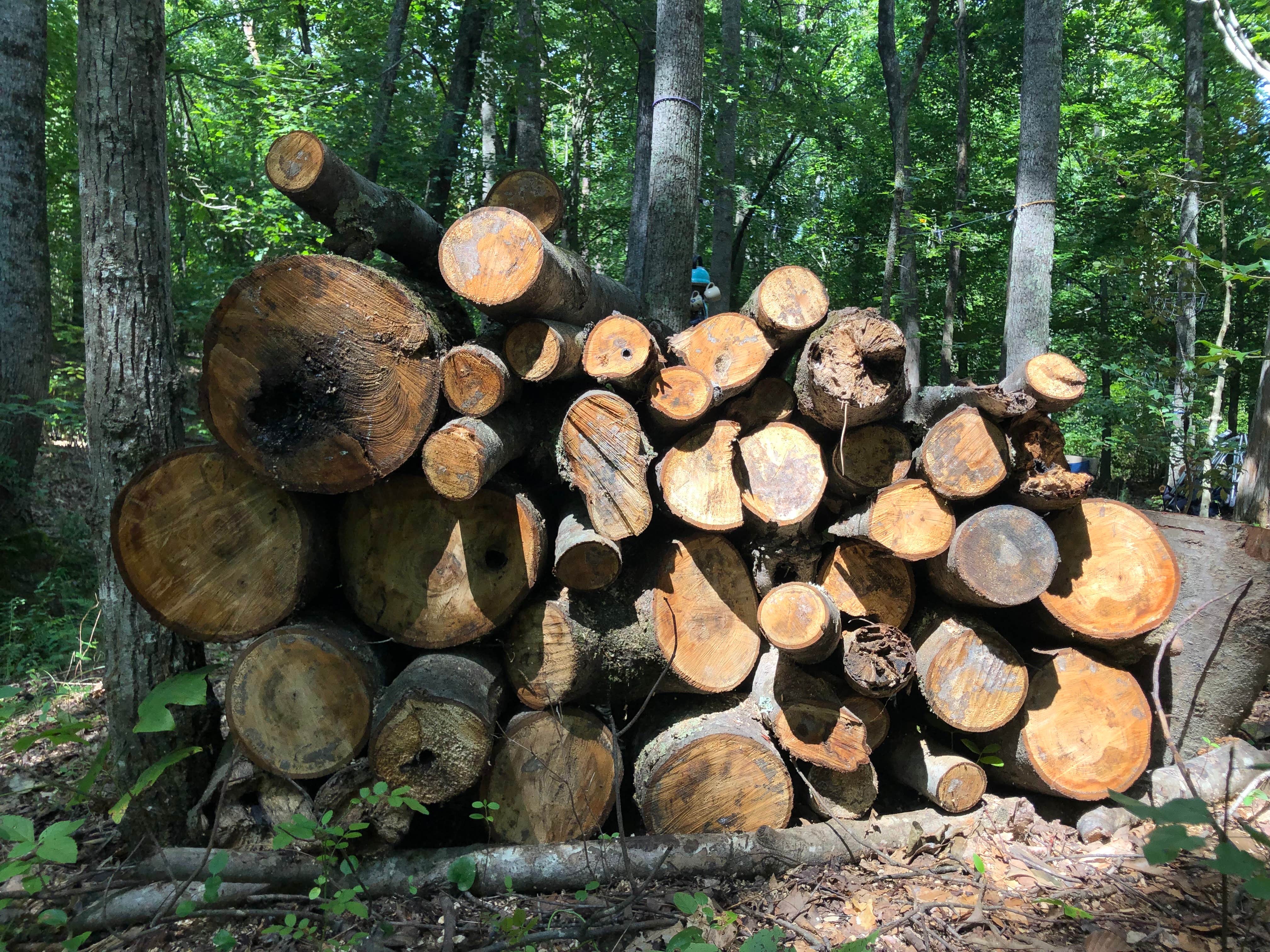Camper-submitted photo at Phantom Hill Forest Farm near Goochland, VA