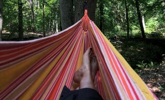 Camping near Shenandoah Crossing, a Bluegreen Vacations Resort: Phantom Hill Forest Farm, Mineral, Virginia